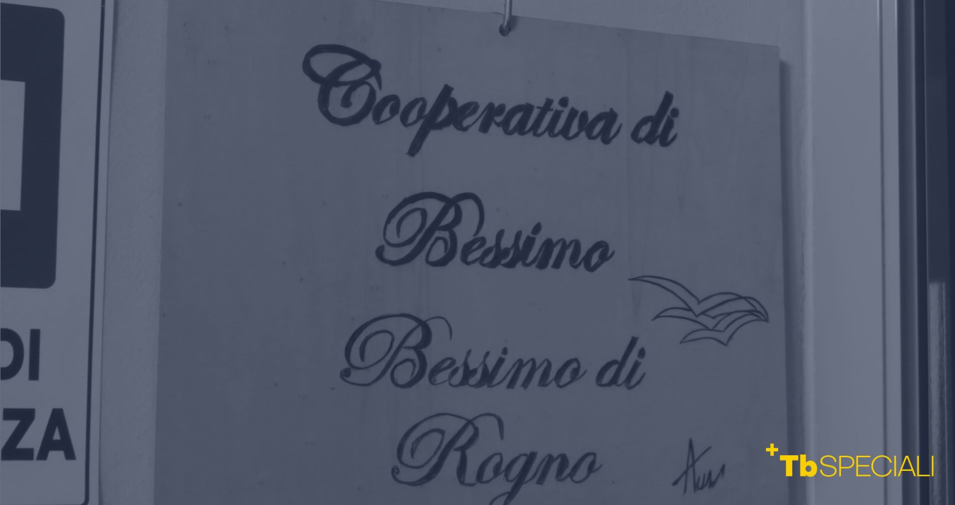 La Cooperativa di Bessimo compie 50 anni